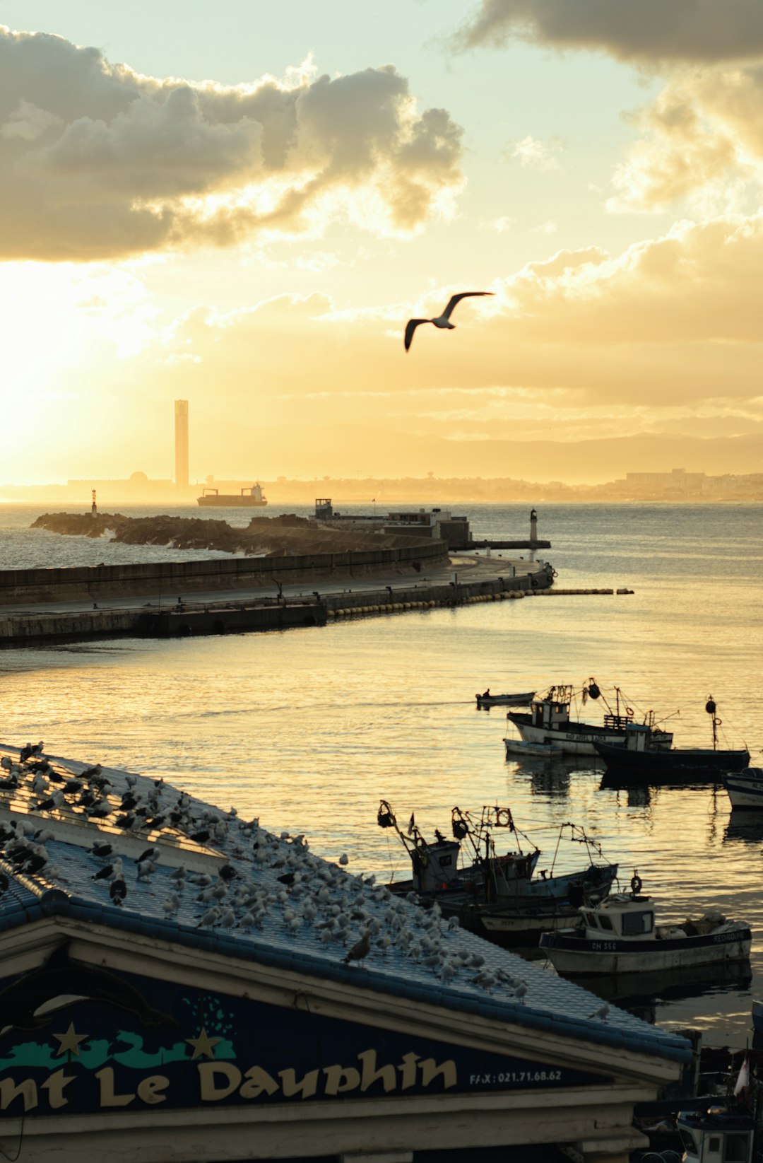 Beach Bars & Lounges